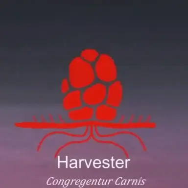 Profile image of 하베스터