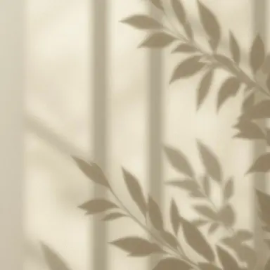 Profile image of kai