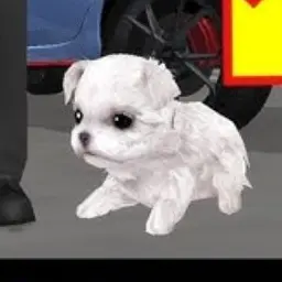 Profile image of 강아지