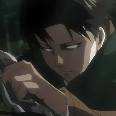 Profile image of Levi Ackerman
