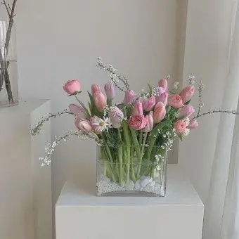 Profile image of 밥풀