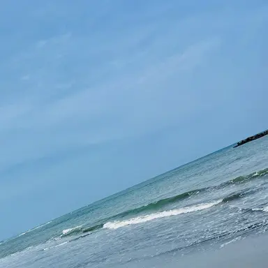 Profile image of 荼毘