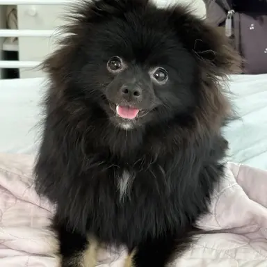 Profile image of 동글