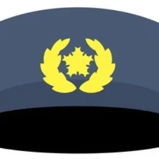 Profile image of 諸星叶翔