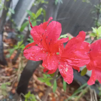 Profile image of 김여우