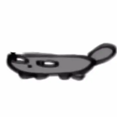 Profile image of 페블