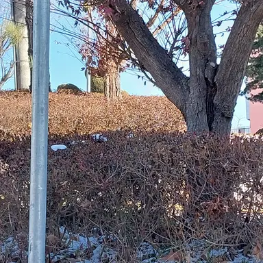 Profile image of 박덕개