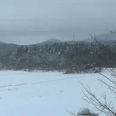 Profile image of 吉田仁人