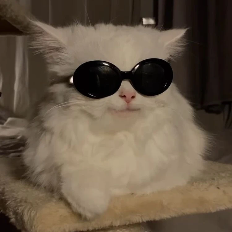 이민호