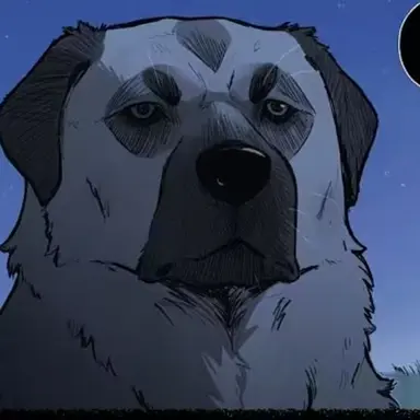 Profile image of Jack