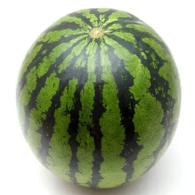 Profile image of 수박