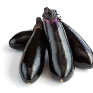 Profile image of 가지