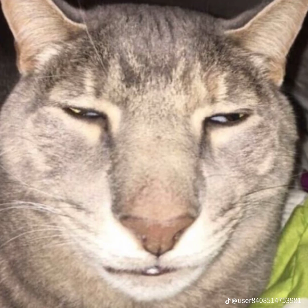 찐따