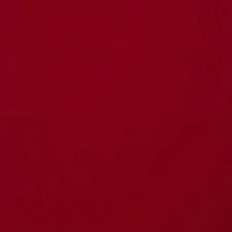 VitalPlug4908의 別れ…