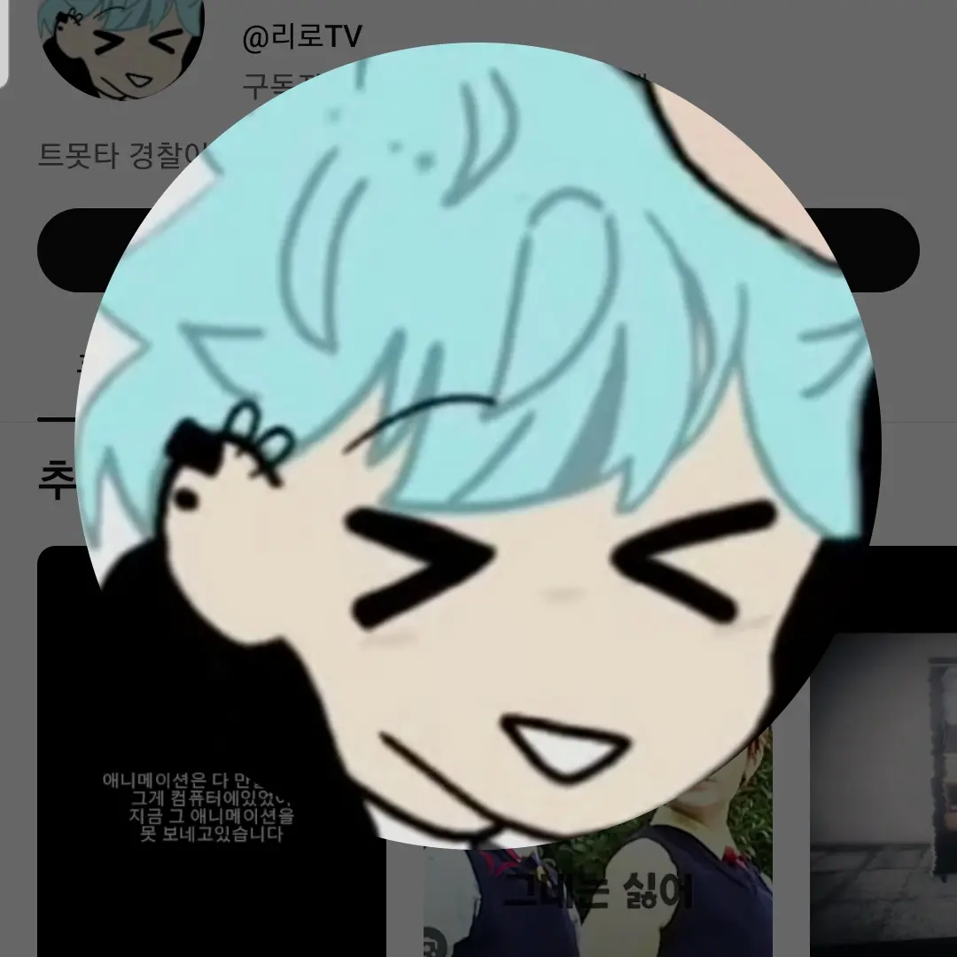 HuskyEuro2668의 리로TV