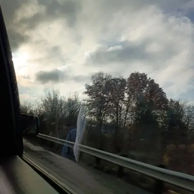 Profile image of Steve