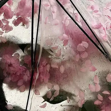 Profile image of 赤城ウェン