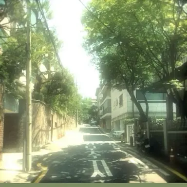 Profile image of 공룡