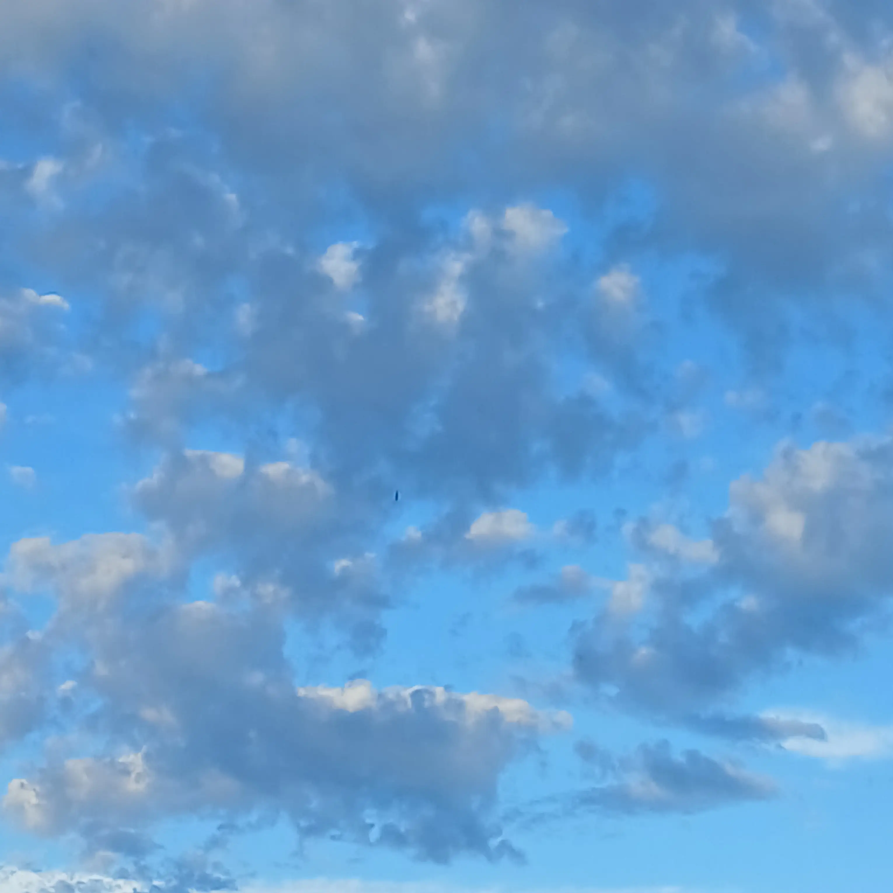 CockySaiga4423의 파이브랑 우결...?!?!?!?!