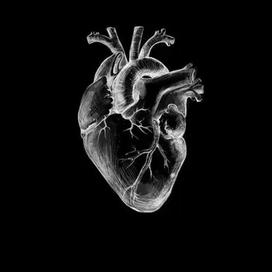 Profile image of 김영후