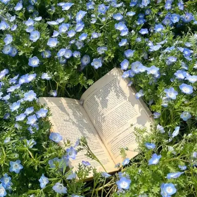 Profile image of 예엥