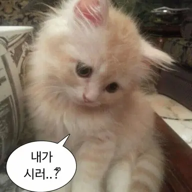 Profile image of 언니