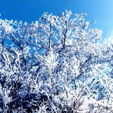 Profile image of 설화