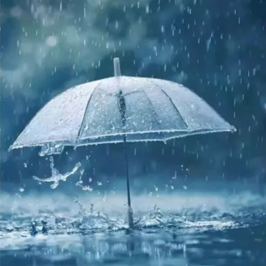 Profile image of 노슬비