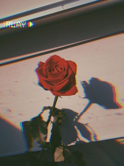 悲しみの- 오징어게임 대표 이미지
