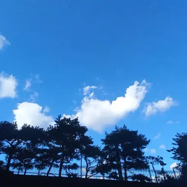 Profile image of 최우제