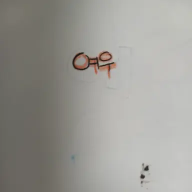 Profile image of 여우