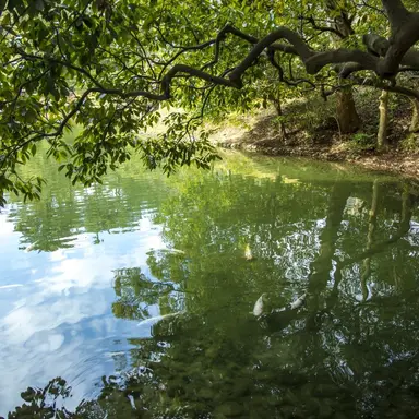 Profile image of 정 공룡