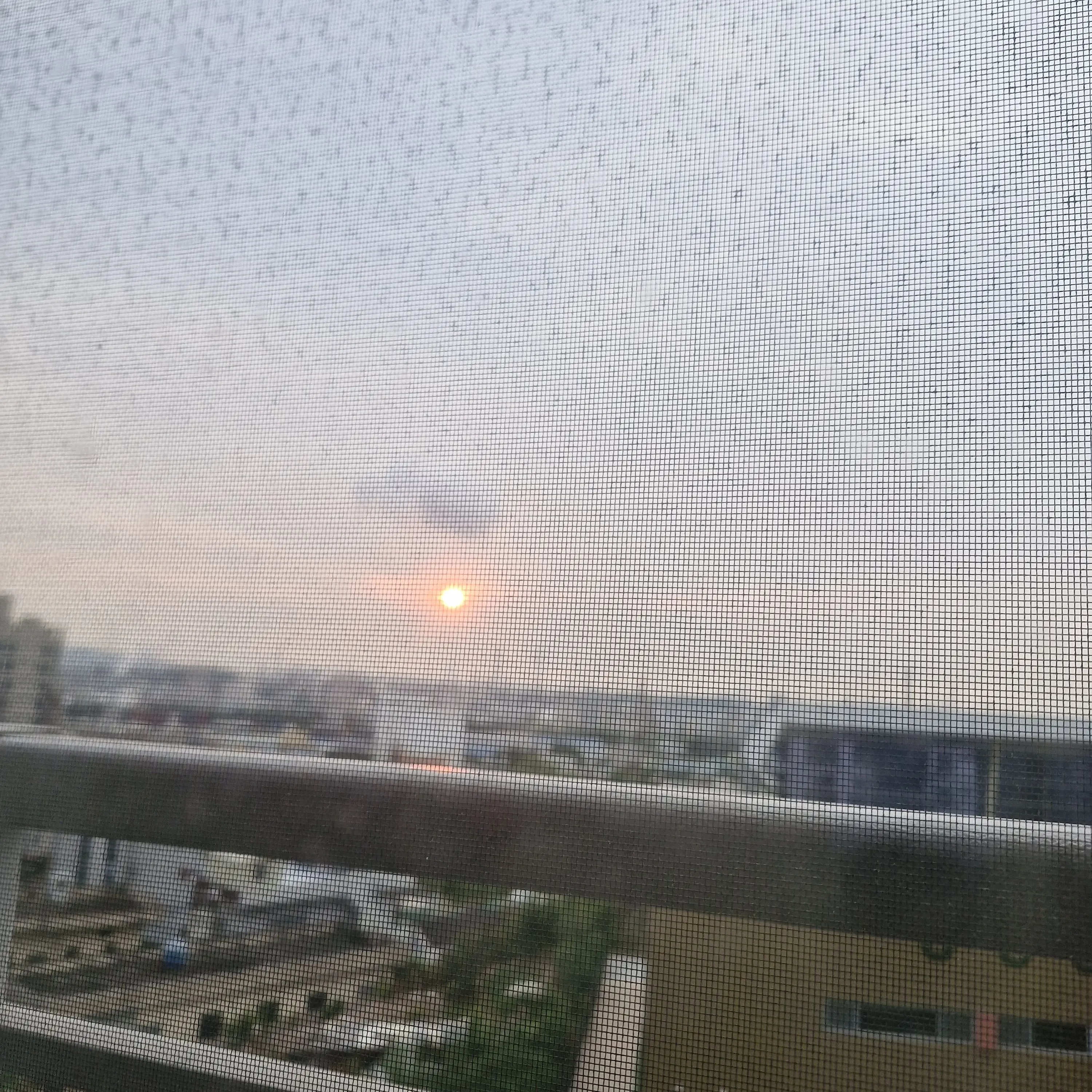 Asas11279988의 너맘대로
