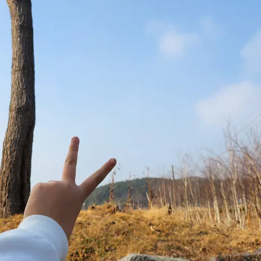 I_LOVE_ZETA의 최서윤