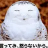 Profile image of ヤマト