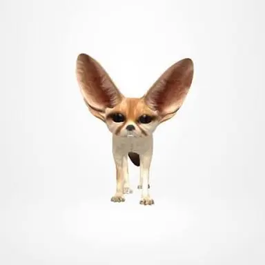 Profile image of 여우
