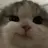 이민호