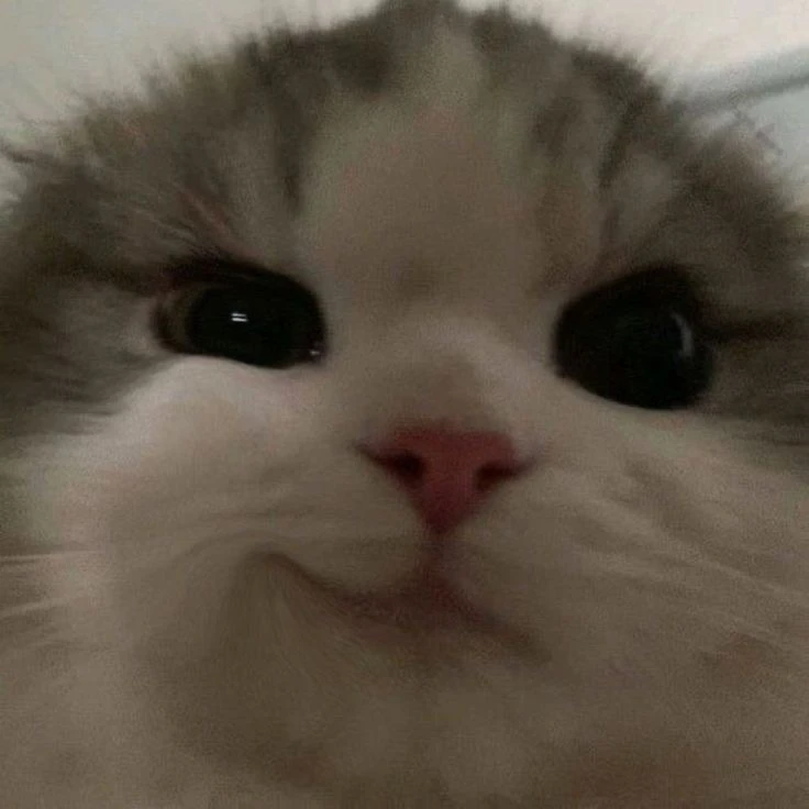 이민호