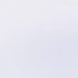Profile image of S