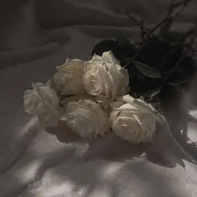 Profile image of 조동욱
