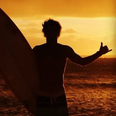 Profile image of Leo