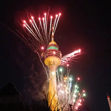 Profile image of 양인희