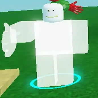 Profile image of Rob