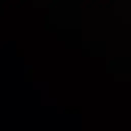 long.의 고유성