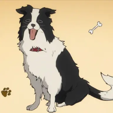 Profile image of チャッピー