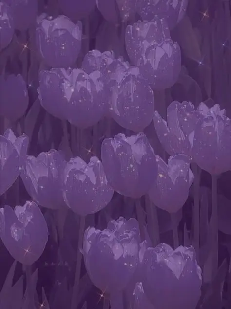 murasaki_hato의 ⚔️