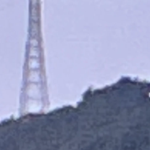 명명