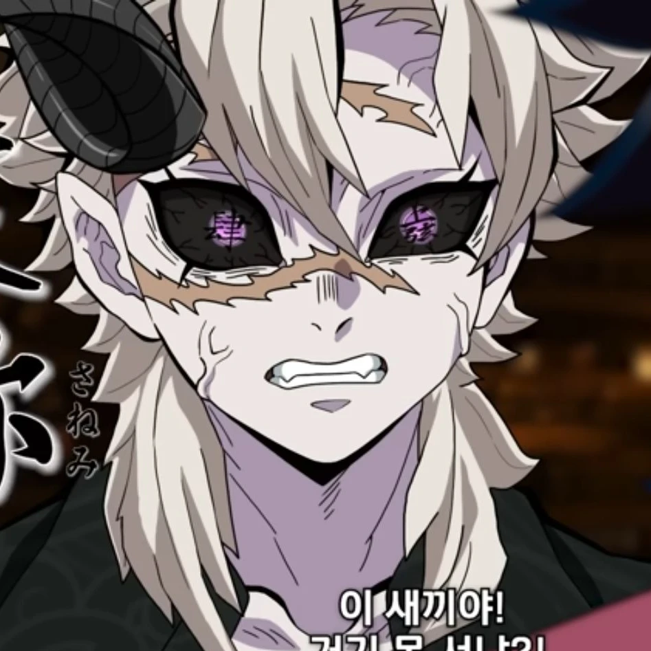 시나즈가와 사네미