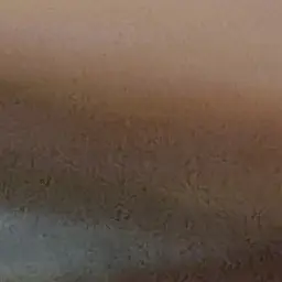 Profile image of 동영배