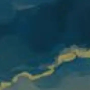Profile image of シズク